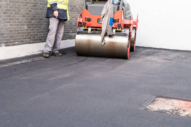 Best Driveway Removal and Replacement  in Elkins Rk, PA