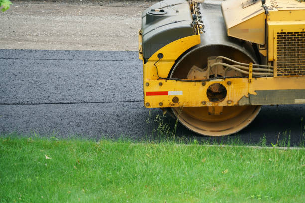 Best Driveway Crack Filling  in Elkins Rk, PA