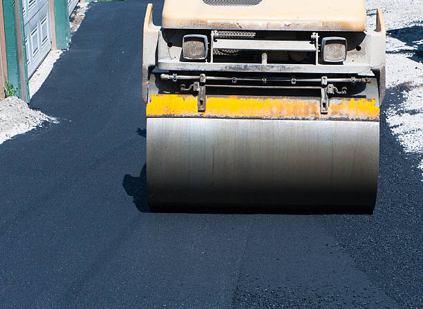 Best Driveway Snow Removal Preparation  in Elkins Rk, PA